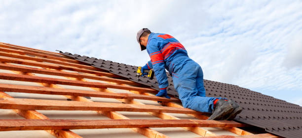 Best Roof Ventilation Installation  in Huntley, IL