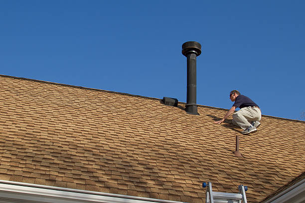 Best Roof Coating and Sealing  in Huntley, IL